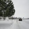 la grande nevicata del febbraio 2012 011
